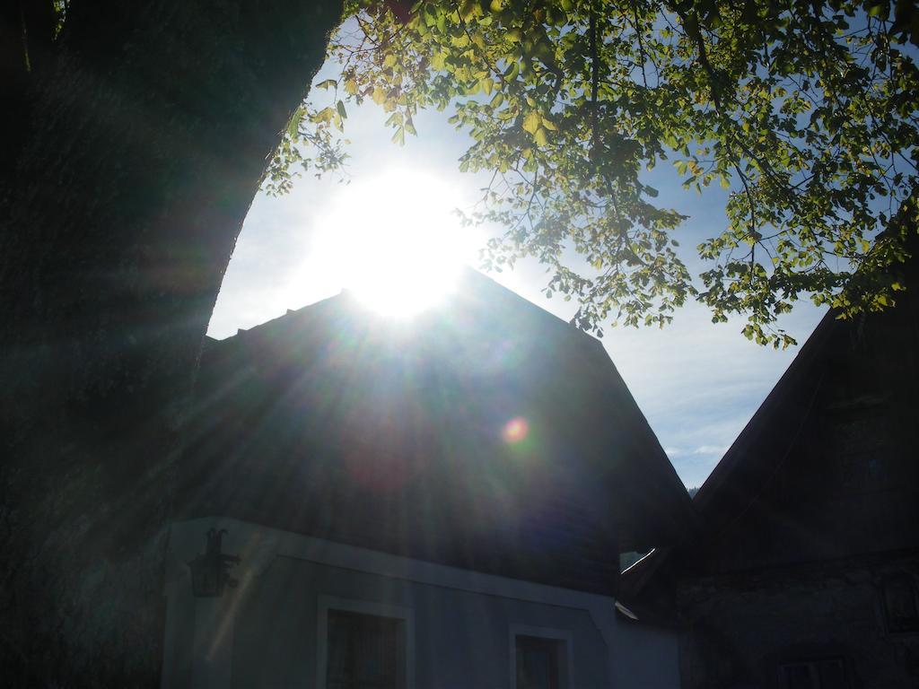 Farm stay Bio-bauernhof Kurzeck