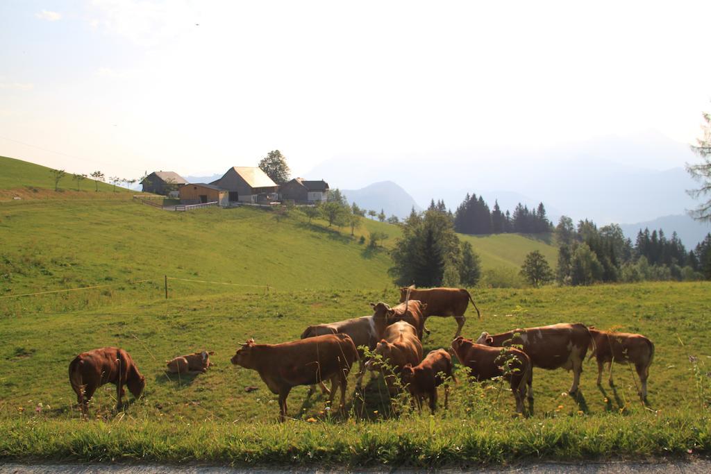 Farm stay Bio-bauernhof Kurzeck *