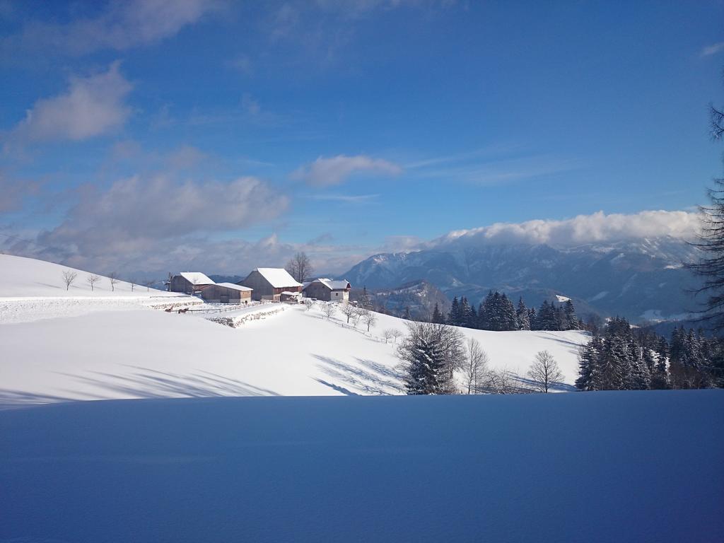 Bio-bauernhof Kurzeck Farm stay Goestling an der Ybbs