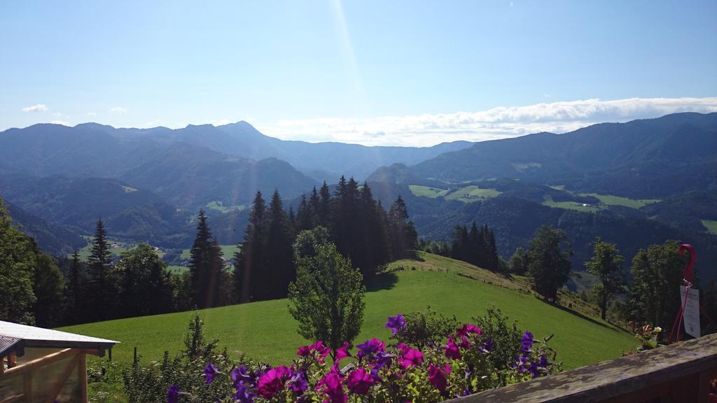 Farm stay Bio-bauernhof Kurzeck *